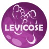 Levicose - τζελ για τη θεραπεία των κιρσών