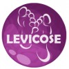 Levicose - τζελ για τη θεραπεία των κιρσών