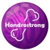 Hondrostrong - φάρμακο για τη θεραπεία των αρθρώσεων