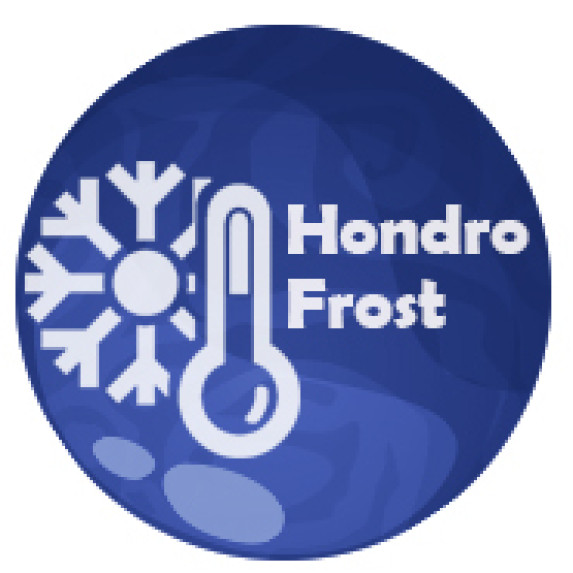 Hondrofrost - φάρμακο για τη θεραπεία των αρθρώσεων